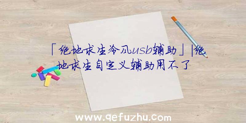 「绝地求生冷风usb辅助」|绝地求生自定义辅助用不了